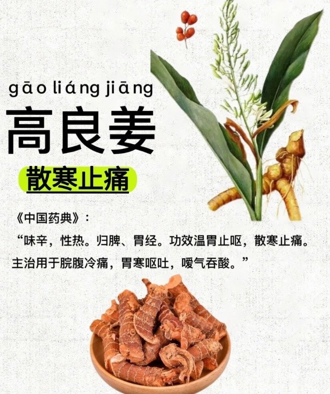 《本草纲目》草部：高良姜