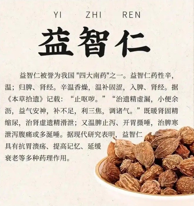 《本草纲目》草部：益智子
