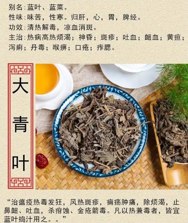 《本草纲目》草部：大青叶