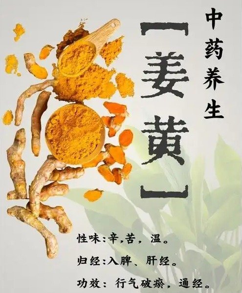 中药姜黄的价格是多少