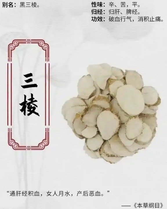《本草纲目》草部：荆三棱