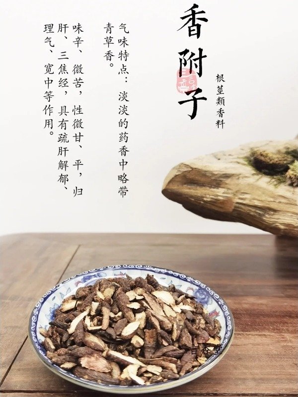 服用香附子期间需要注意哪...
