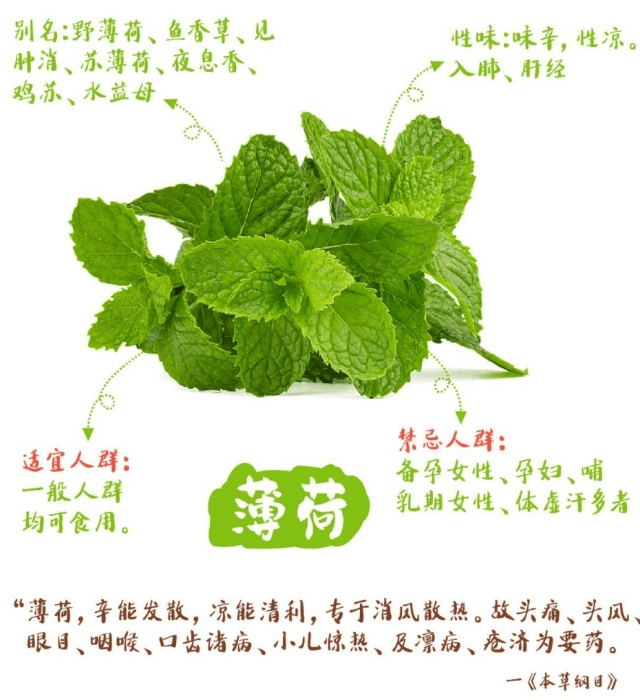 《本草纲目》草部：薄荷