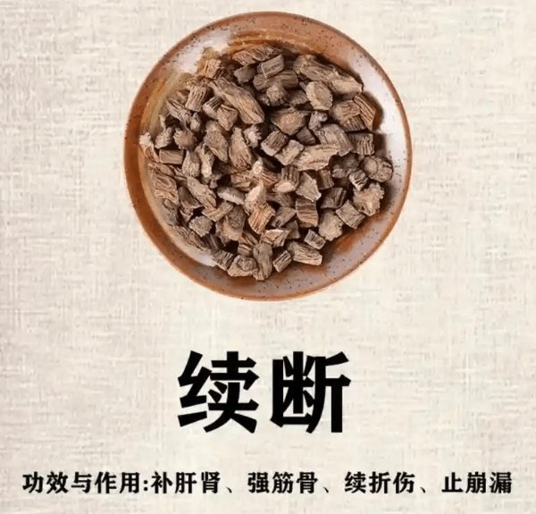 《本草纲目》草部：续断