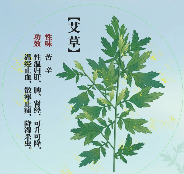 中药艾草的药理作用主要是...