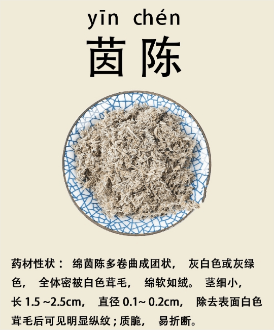 中药茵陈蒿的有效成分以及...
