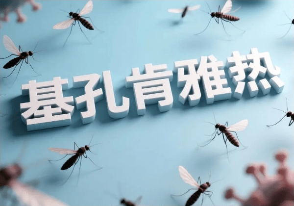 基孔肯雅热是什么？感染基...