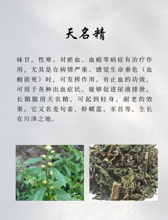《本草纲目》草部：天名精