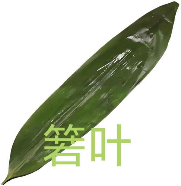 《本草纲目》草部：箬