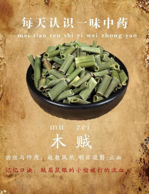 《本草纲目》草部：木贼