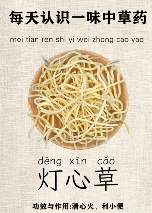 《本草纲目》草部：灯心草