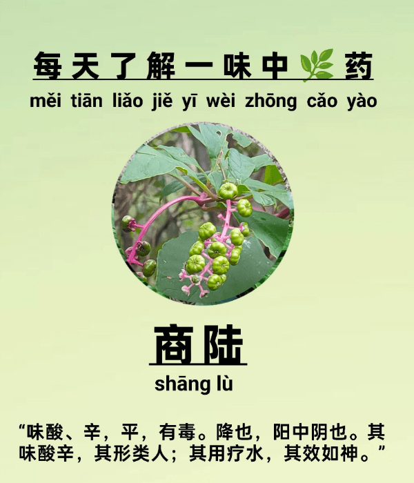 《本草纲目》草部：商陆
